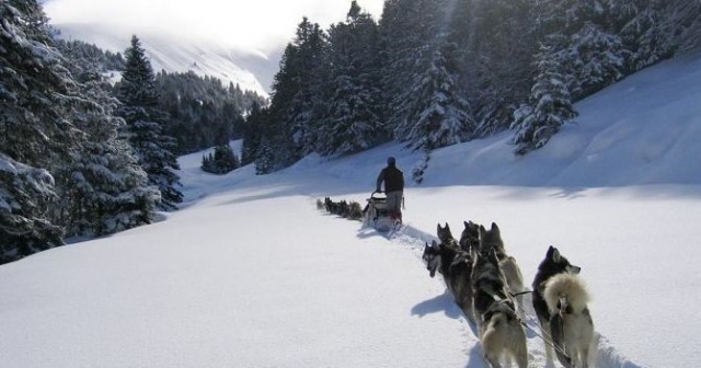  Incursión en los Pirineos Perros y raquetas de nieve